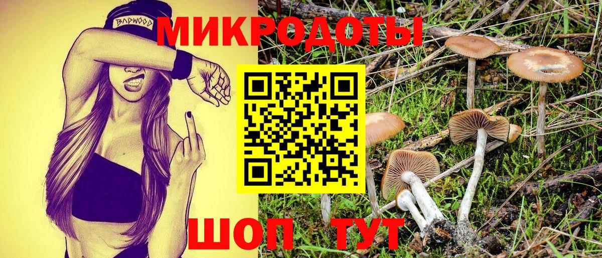 Псилоцибиновые грибы ЛСД Коркино